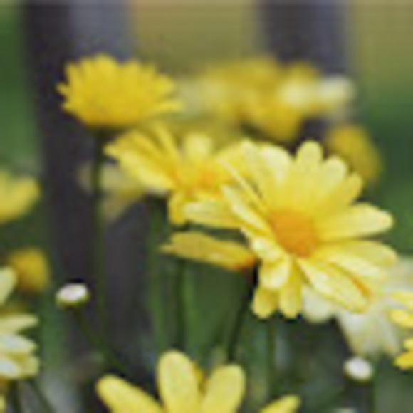 Profile Picture of Josie Rybczyk (@josierybczyk) on Poshmark