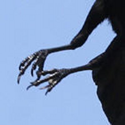 Profile Picture of John Gentle (@crowsfeet) on Twitter