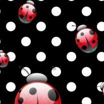 Jere Lord - Facebook Profile Picture of Jere Lord (@jere.lord.7) on Facebook