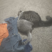 Profile Picture of Kevin Goodwin (@kevingoodwin9772) on Youtube