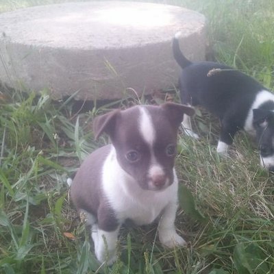 Sheryl Reed - Twitter Profile Picture of Sheryl Reed (@Renee4theday) on Twitter