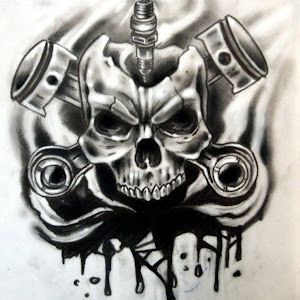 andrewroller - Tiktok Profile Picture of andrewroller (@andrewroller) on Tiktok