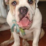 Profile Picture of Maritza David Galindo (@madav1209) on Instagram