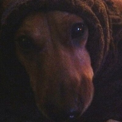 Profile Picture of Mike Vess (@VessMike) on Twitter