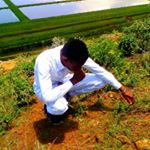 Profile Picture of Erick M Gilvary (@erickgilvary) on Instagram