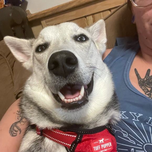 Profile Picture of Tamara Kasson (@tkasson) on Poshmark