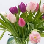 Profile Picture of Lucia Lombardozzi (@lucia.lombardozzi.71) on Facebook