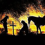 Profile Picture of Pamela  Gail Stephens Hathcock (@pamelagailstephenshathcock) on Flickr