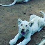 Profile Picture of Ian (@ian_botha_2005) on Instagram