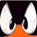 Profile Picture of Darren Duckworth (@daftaduck1234) on Pinterest