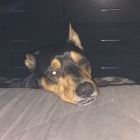 Profile Picture of Jason Lord (@jason-lord-34) on Quora