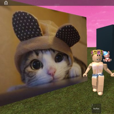 Profile Picture of Emily - Rose Chaney (@RoseChaney08) on Twitter