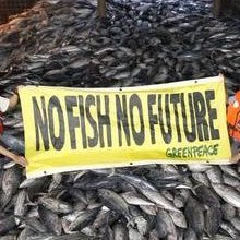 Profile Picture of Commercial Fishing Project (@nick_giannelli) on Twitter