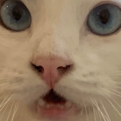 Sarah Levett - Twitter Profile Picture of Sarah Levett (@sarahlevett6) on Twitter