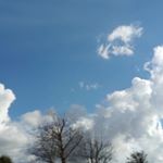 Profile Picture of Sam O’Dell (@samodell8) on Instagram