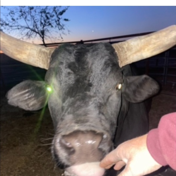 Profile Picture of Luke James (@rafter4j) on Poshmark