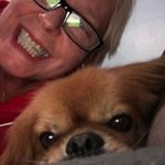 Profile Picture of Debby Kitchell (@kitchbranch) on Instagram