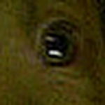 Profile Picture of Twana Martin (@twana_larry_martin) on Flickr