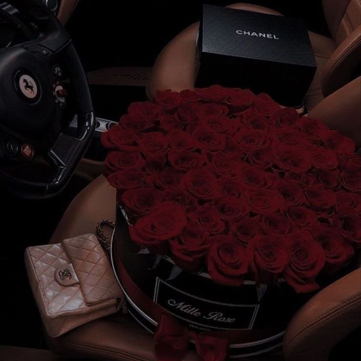 Profile Picture of Adam Brich (@adam.brich) on Tiktok