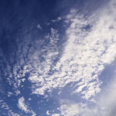 Profile Picture of 易夫易妻 (@yifu_yiqi) on Twitter