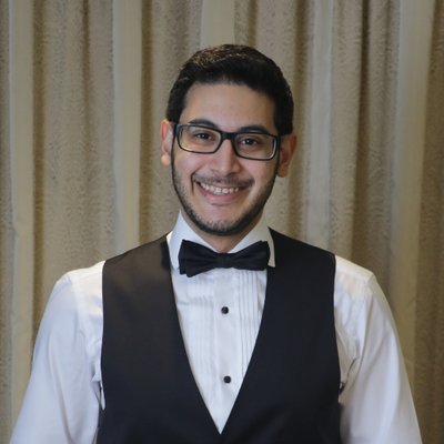 Profile Picture of Dr. Mohammed E. Sayed (@MohammedESayed7) on Twitter