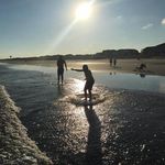 Profile Picture of Shawn McGinnis (@mcginnis.shawn) on Instagram