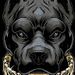 Profile Picture of TRD_ GoVega (@carlosrohena2006) on Pinterest