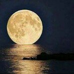 Profile Picture of Jacqueline Pena Sanchez (@dalviapena) on Instagram