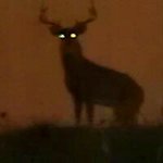 Profile Picture of Jason Farren (@farrenjason) on Instagram