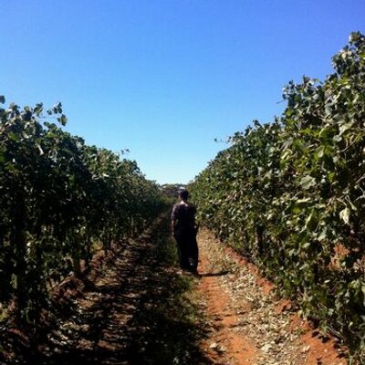 Profile Picture of Catherine Dunn (@catatdunn) on Twitter