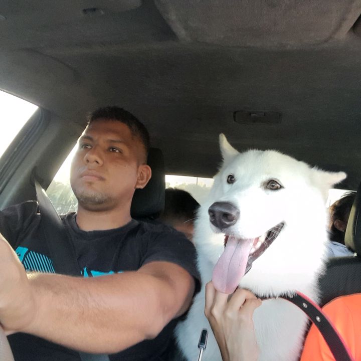 jasper 507 - Tiktok Profile Picture of jasper 507 (@raulbastidas402) on Tiktok