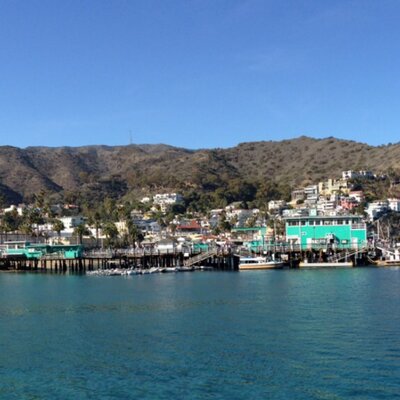 Profile Picture of Iris Lyon (@iris_lyon) on Twitter