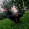 Profile Picture of Heather Dunn (@@blue.collar.dollar) on Tiktok