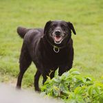 Profile Picture of Andrea Chase (@achasec022) on Instagram