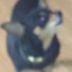 Profile Picture of Danny Conkright (@danny.conkright.10) on Facebook