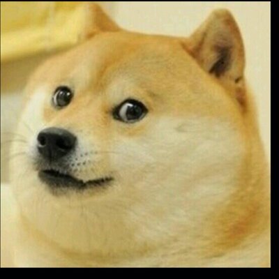 Profile Picture of Alex Woodbridge (@AlexWoodbridge7) on Twitter