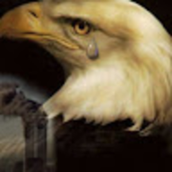 Profile Picture of Daniel Ard (@danielfocus7333) on Poshmark