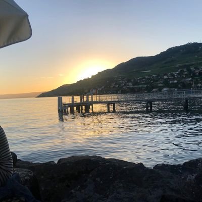 Profile Picture of TR (@ReichenbachTim) on Twitter
