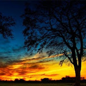 Profile Picture of Kyle Kennedy (@kylekennedy5135) on Youtube