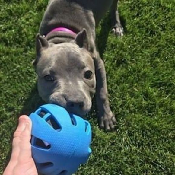 Profile Picture of Gregory Wilson (@gw778800) on Poshmark