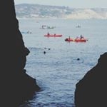 Profile Picture of Joseph Maher (@maher.joseph) on Instagram