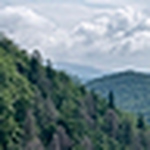 Profile Picture of Sean Mitchell (@ncmountainproperty) on Flickr