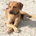 Profile Picture of Michael Elbing (@michael.elbing1) on Instagram