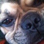 Profile Picture of Fay Cook (@fay7cook) on Instagram