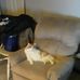 Profile Picture of Tony Husted (@tony.husted.16) on Facebook