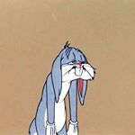 Profile Picture of Johnny 🌷 (@johnnyquinnhaha) on Instagram