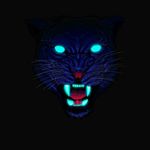 Profile Picture of Sameer KinG (@sameer_ashraf_786) on Instagram