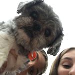 Profile Picture of KATE COCHRANE (@katecochrane1) on Instagram