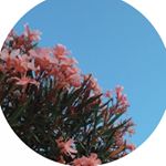 Profile Picture of Mckenzie Cochran (@kenzies._.krazy._.kuality) on Instagram