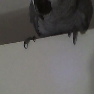 Profile Picture of Anne Carty (@anne.carty.33) on Facebook